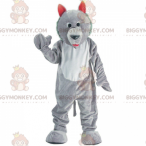 BIGGYMONKEY™ maskot kostume grå og hvid ulv, ulvehund kostume - Hunde maskoter - BIGGYMONKEY_011486 - BiggyMonkey.com
