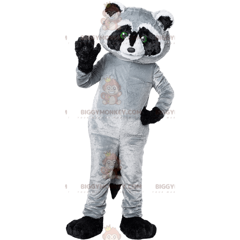 Zwart en grijze wasbeer BIGGYMONKEY™ mascottekostuum. wasbeer Zwart en grijze wasbeer BIGGYMONKEY™ mascottekostuum. wasbeer