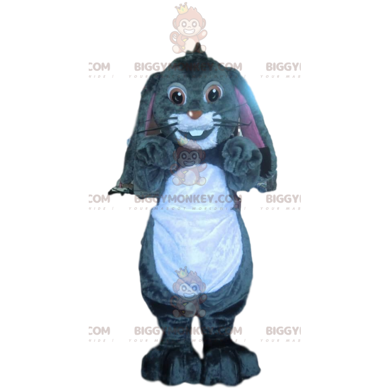 BIGGYMONKEY™ maskottiasu harmaasta kanista kauniilla BIGGYMONKEY™ maskottiasu harmaasta kanista kauniilla