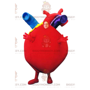 BIGGYMONKEY™ Mascot Costume Giant Red Heart With Beautiful