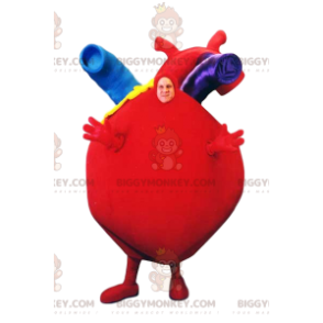 Fantasia de mascote BIGGYMONKEY™ Coração vermelho gigante com belas artérias - Mascotes não classificados - BiggyMonkey.com
