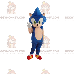 BIGGYMONKEY™ mascottekostuum van Sonic, de beroemde blauwe egel