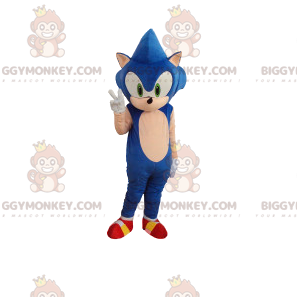 BIGGYMONKEY™ maskotdräkt av Sonic, den berömda blå igelkotten