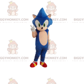 Traje de mascote BIGGYMONKEY™ de Sonic, o famoso ouriço azul do