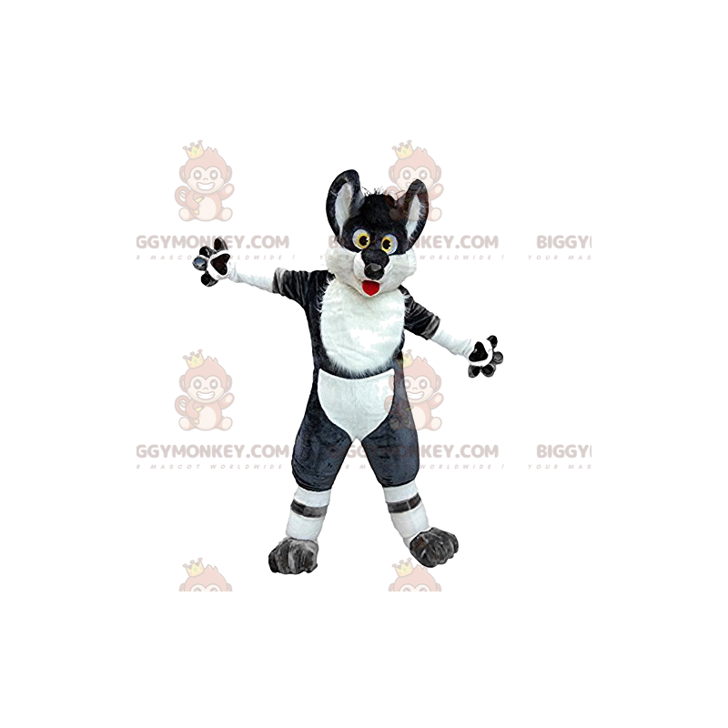 Costume de mascotte BIGGYMONKEY™ de loup noir et blanc fou et Costume de mascotte BIGGYMONKEY™ de loup noir et blanc fou et
