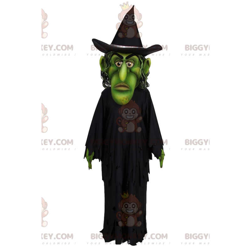Costume de mascotte BIGGYMONKEY™ de sorcier vert avec sa cape Costume de mascotte BIGGYMONKEY™ de sorcier vert avec sa cape