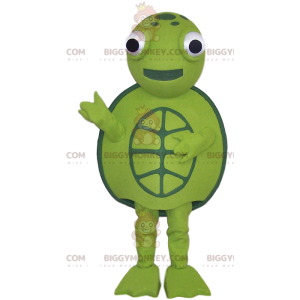 Masotte de tortue verte et toute ronde, - Mascottes Tortue - BIGGYMONKEY_011881 - BiggyMonkey.com