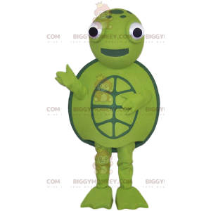 Μασκότ πράσινης χελώνας και ολόγυρα, - Biggymonkey.com