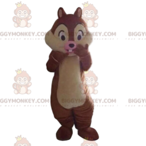 Tic BIGGYMONKEY™ mascot costume, from the cartoon Tic & Tac -
