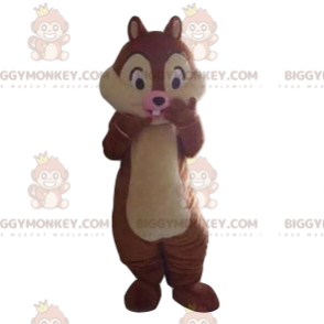 Tic BIGGYMONKEY™ mascot costume, from the cartoon Tic & Tac –