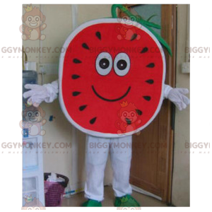 Super cute and cheerful watermelon BIGGYMONKEY™ mascot costume
