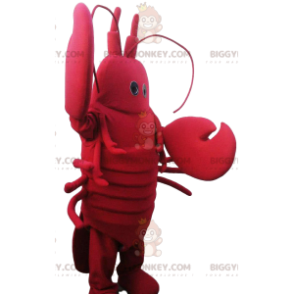 Hummer BIGGYMONKEY™ maskotdräkt med söta klor. hummer kostym - Fiskmaskot - BIGGYMONKEY_012125 - BiggyMonkey.com