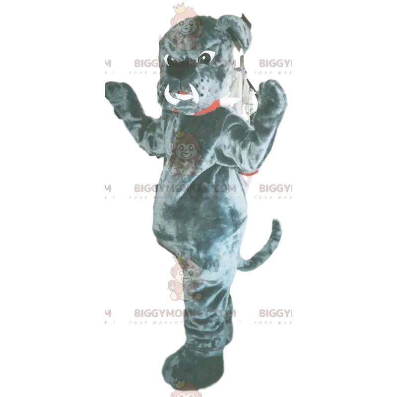 BIGGYMONKEY™ maskotkostume Grå bulldog med kæmpe hugtænder - BIGGYMONKEY™ maskotkostume Grå bulldog med kæmpe hugtænder -