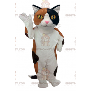 Zeer succesvol wit, zwart en bruin kat BIGGYMONKEY™