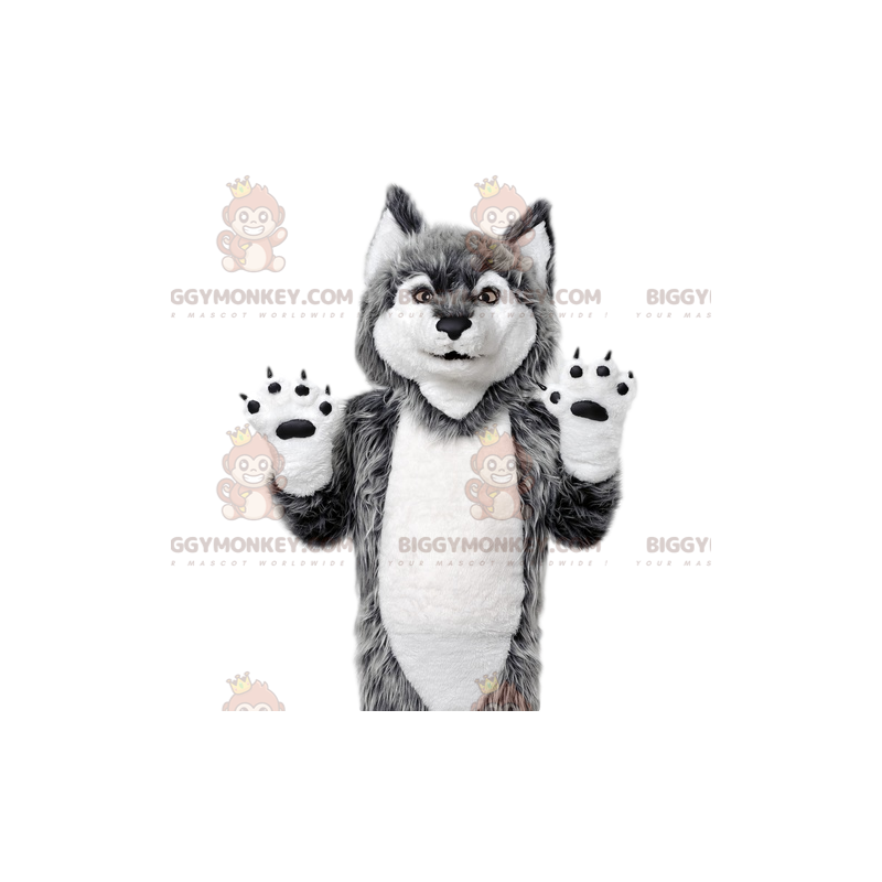 Costume da mascotte lupo grigio BIGGYMONKEY™. Costume da lupo