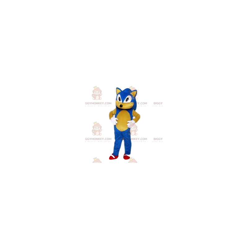 Sonic the Hedgehog BIGGYMONKEY™ Mascot Costume from Sega –