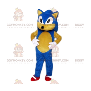 Sonic the Hedgehog BIGGYMONKEY™ Mascot Costume from Sega –
