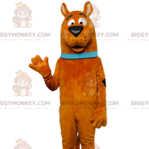 Kuuluisan Scooby-Doon BIGGYMONKEY™ maskottiasu. Scooby-Doo-asu