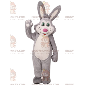 Gray and White Rabbit...