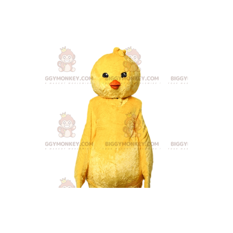 Keltainen Chick BIGGYMONKEY™ maskottiasu. keltainen poikasen Keltainen Chick BIGGYMONKEY™ maskottiasu. keltainen poikasen