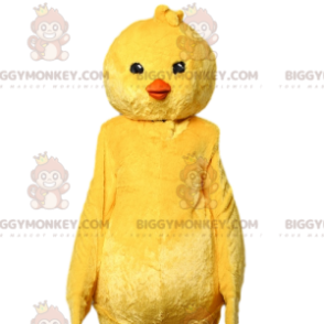  Costume da mascotte pulcino giallo BIGGYMONKEY™. costume da pulcino giallo - Polli mascotte - Galli - Polli - BiggyMonkey.com
