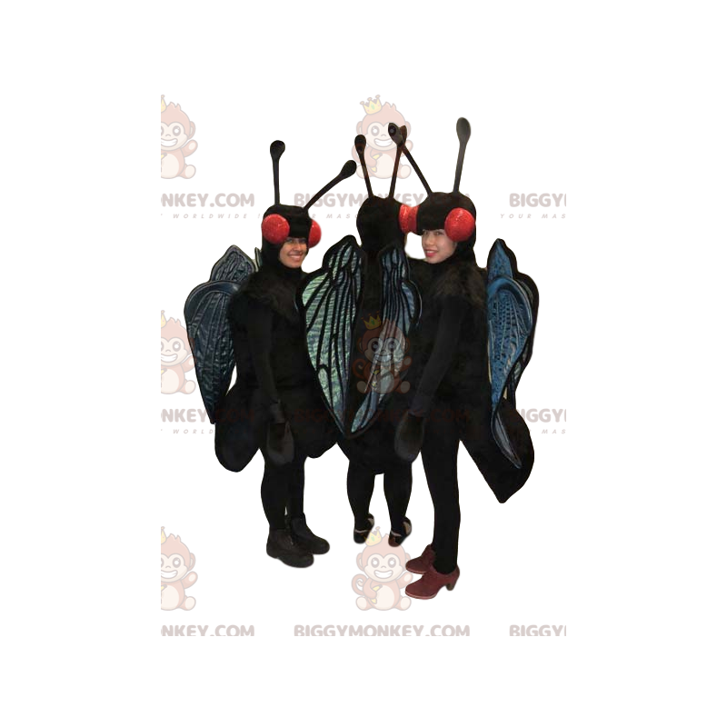 BIGGYMONKEY™s maskot af tre sorte og blå sommerfugle. BIGGYMONKEY™s maskot af tre sorte og blå sommerfugle.