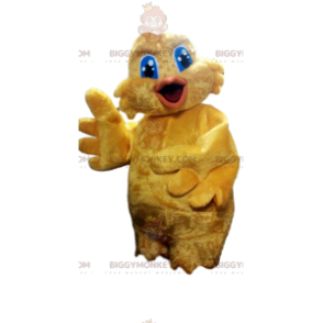 Very funny little yellow chicken BIGGYMONKEY™ mascot costume. - Hens Mascot - Roosters - Chickens - BiggyMonkey.com