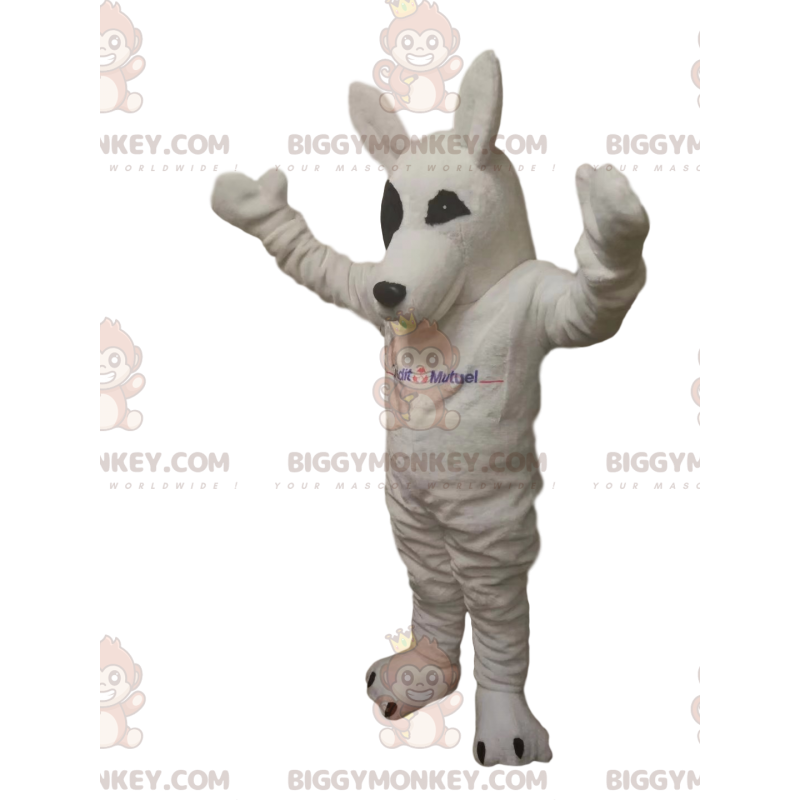 White Wolf BIGGYMONKEY™ maskottiasu. valkoinen susi asu - White Wolf BIGGYMONKEY™ maskottiasu. valkoinen susi asu -