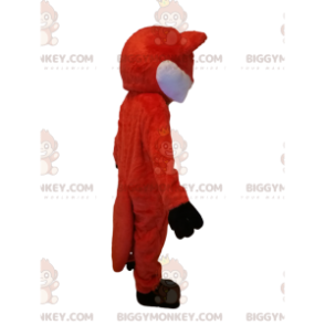 Oranssi ja valkoinen kettu BIGGYMONKEY™ maskottiasu. ketun puku - Kettu-maskotit - BIGGYMONKEY_012671 - BiggyMonkey.com