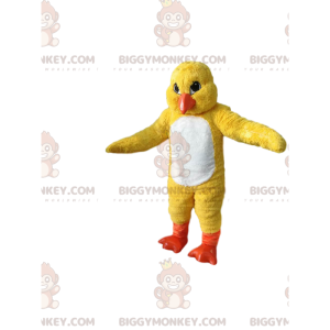 Yellow Chick BIGGYMONKEY™ maskotdräkt. kycklingdräkt - Höns maskot - tuppar - kycklingar - BIGGYMONKEY_012728 - BiggyMonkey.com