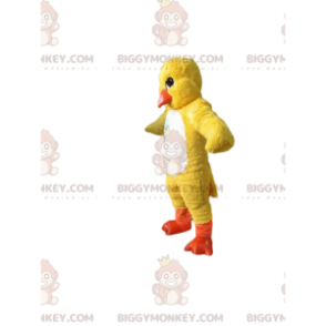 Gelbes Küken BIGGYMONKEY™ Maskottchenkostüm. Küken Kostüm -
