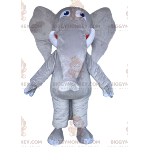 Majestic Grey Elephant BIGGYMONKEY™ maskottiasu. Harmaa norsun puku - Elefantti-maskotit - BIGGYMONKEY_012739 - BiggyMonkey.com