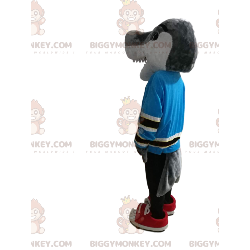 Harmaahain BIGGYMONKEY™ maskottiasu sinisellä trikoolla. hain Harmaahain BIGGYMONKEY™ maskottiasu sinisellä trikoolla. hain
