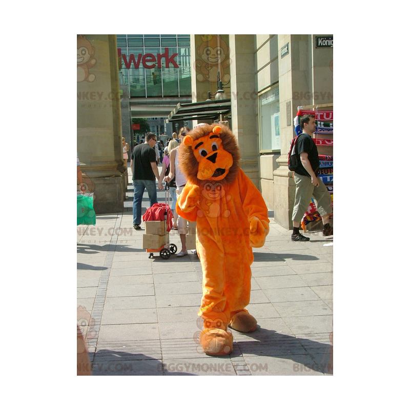 Schattige en volledig harige oranje en bruine leeuw Schattige en volledig harige oranje en bruine leeuw