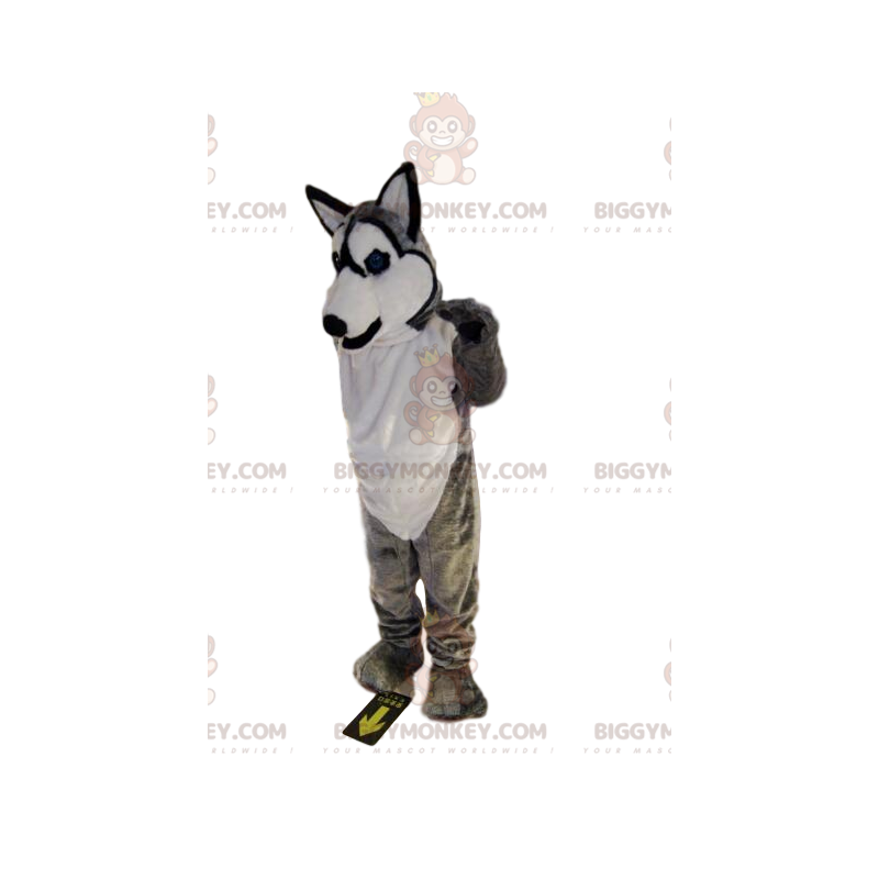 BIGGYMONKEY™ mascot costume of smiling gray and white husky.
