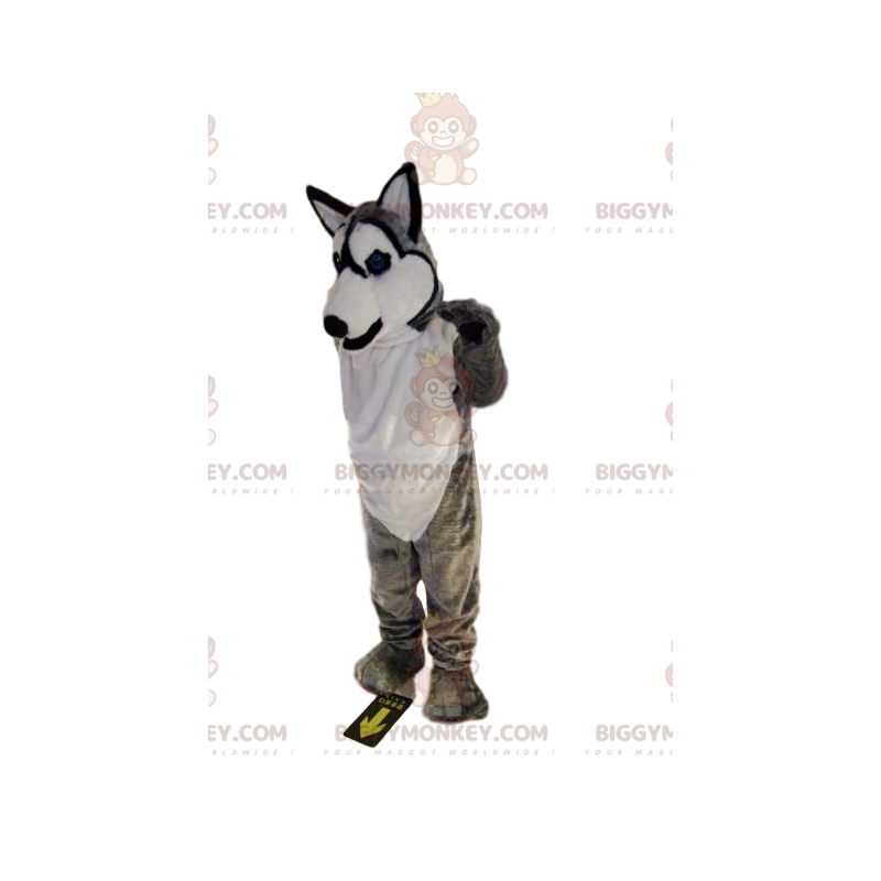 Costume de mascotte BIGGYMONKEY™ de husky gris et blanc Costume de mascotte BIGGYMONKEY™ de husky gris et blanc