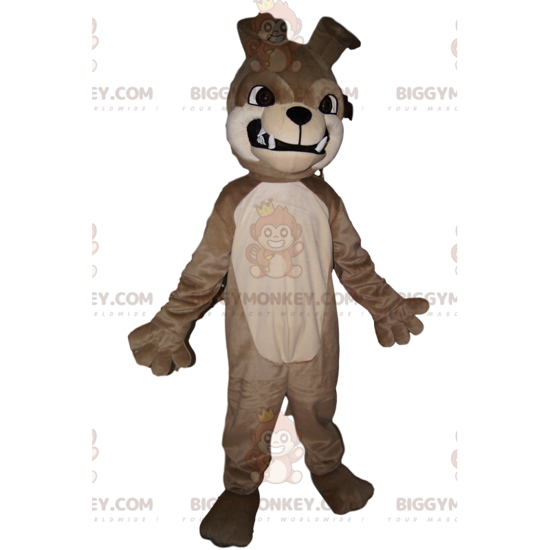 Costume da mascotte Bulldog grigio aggressivo BIGGYMONKEY™. Costume da mascotte Bulldog grigio aggressivo BIGGYMONKEY™.