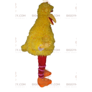 BIGGYMONKEY™ Giant Yellow Duck Maskotdräkt. ankdräkt - Ankor maskot - BIGGYMONKEY_013042 - BiggyMonkey.com