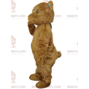 BIGGYMONKEY™ μασκότ Κοστούμι καφέ αρκούδα με μικρό ρύγχος