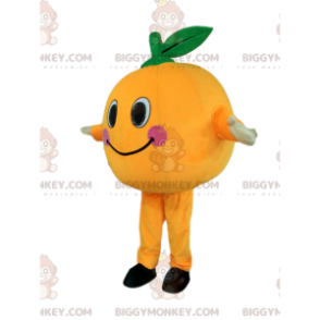 Muy divertido disfraz de mascota de pesca BIGGYMONKEY™ con