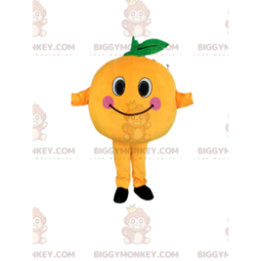 Fato de mascote BIGGYMONKEY™ de pesca muito divertido com maçãs