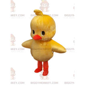 Meget sød gul chick BIGGYMONKEY™ maskot kostume. kylling kostume - Hens maskot - haner - høns - BiggyMonkey.com