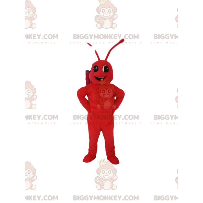 Red Ant BIGGYMONKEY™ Mascot Costume. ant costume -