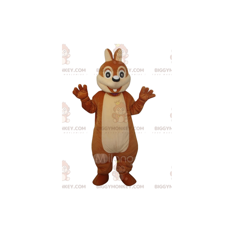 Gad vide egern BIGGYMONKEY™ maskot kostume. egern kostume - Gad vide egern BIGGYMONKEY™ maskot kostume. egern kostume -
