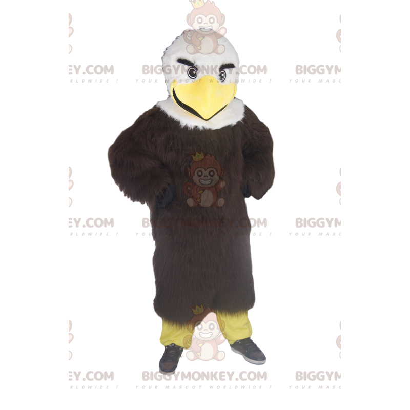 Golden eagle mascot, brown and white. Eagle Sizes L (175-180CM)