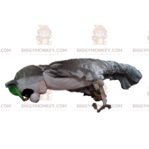  Costume da mascotte BIGGYMONKEY™ di procione, con berretto verde - Animali della foresta - BIGGYMONKEY_013264 - BiggyMonkey.com