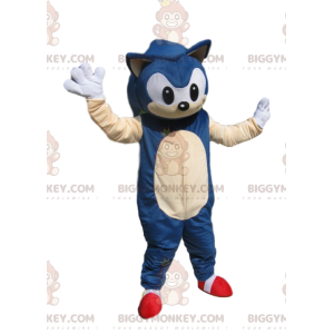 Costume de mascotte BIGGYMONKEY™ de Sonic, le super hérisson