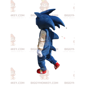 Costumi da Sonic online. Consegna 24h