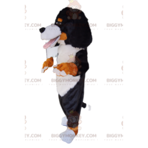 Bardzo przyjazny kostium maskotka Św. Bernard BIGGYMONKEY™ - Maskotki dla psów - BIGGYMONKEY_013344 - BiggyMonkey.com
