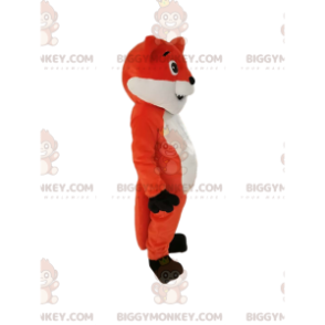 Ondeugend uitziende oranje en witte vos BIGGYMONKEY™